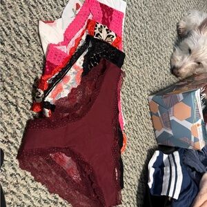 5 pr. Splendies Lace Trim Panty Set in Multicolor